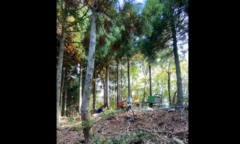 【現場の最初の一歩】山中での足場仮設から始まる地質調査